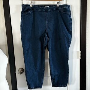 Catherine’s Essential Flat Front Jeggings Denim Wash Women’s 2XL (22/24 WP)